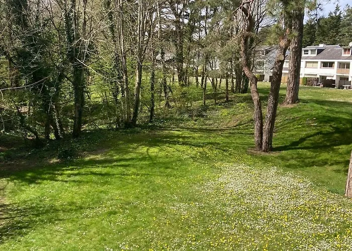 Hardelot 4-6 Persons Apartment Neufchatel-Hardelot